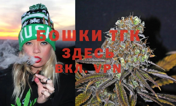 индика Канск