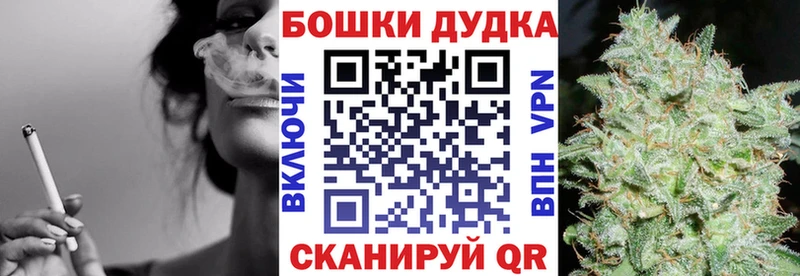 Бошки Шишки Amnesia  Павловск 